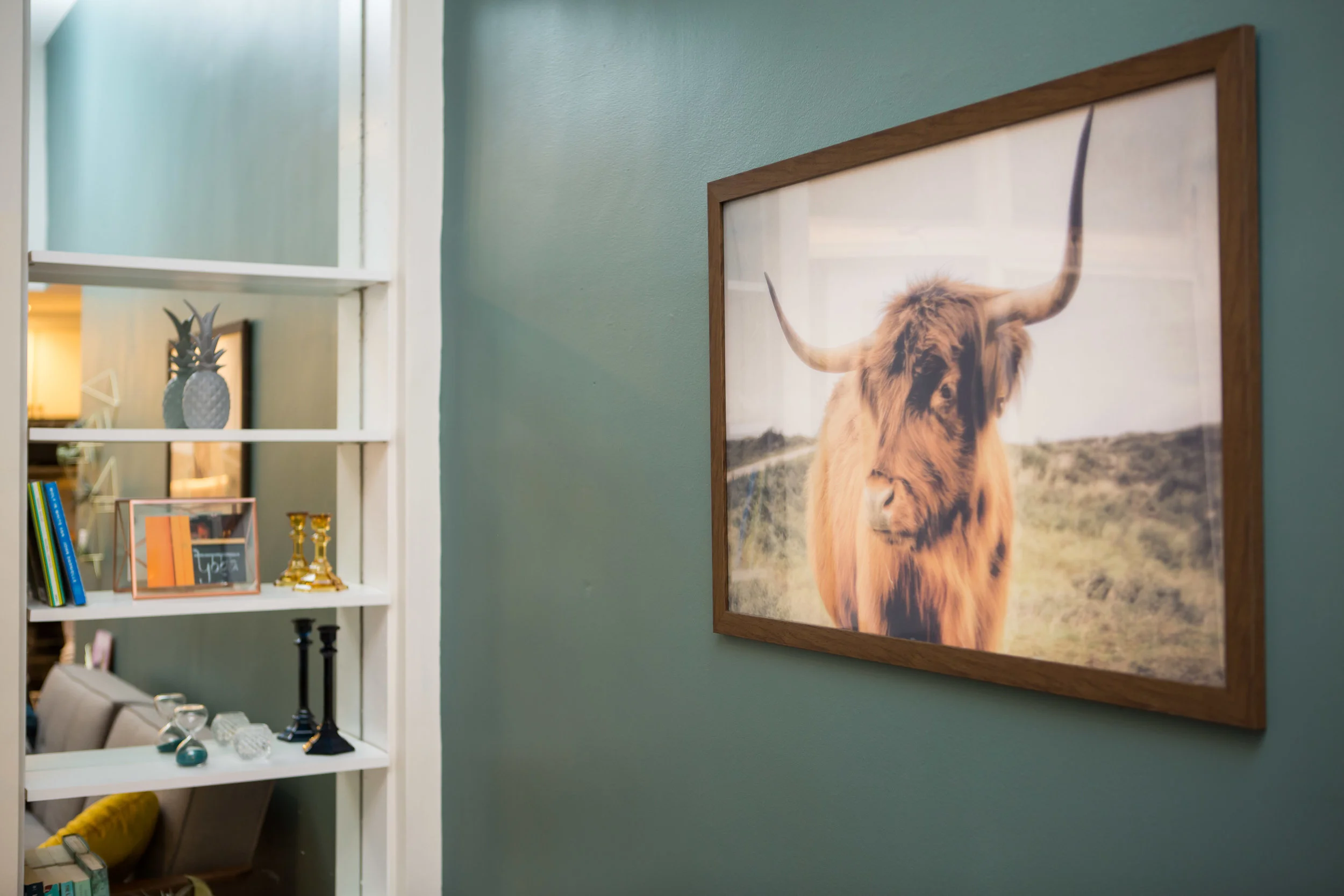 bison_X5B3941.jpg