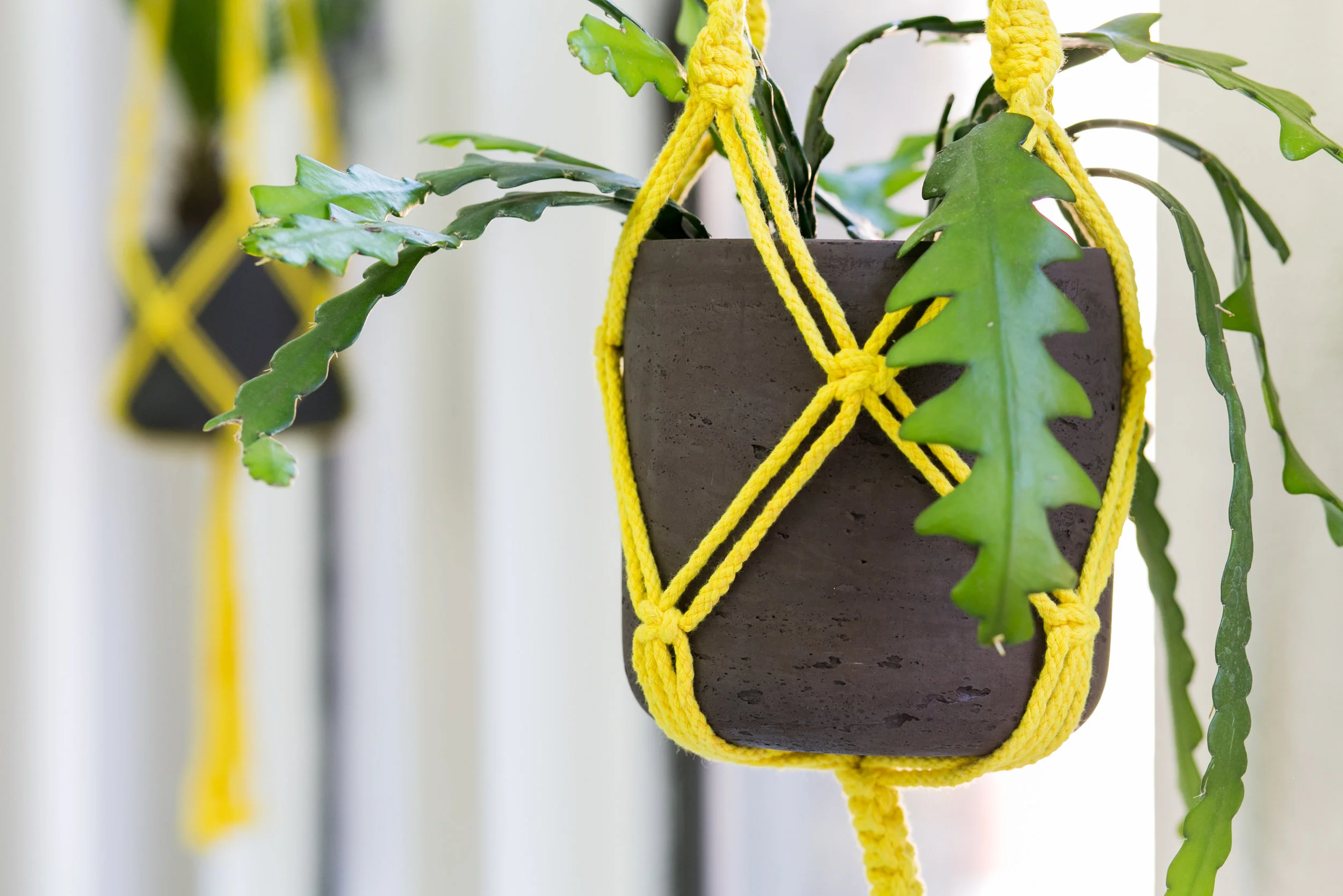 _yellow macrame.jpg