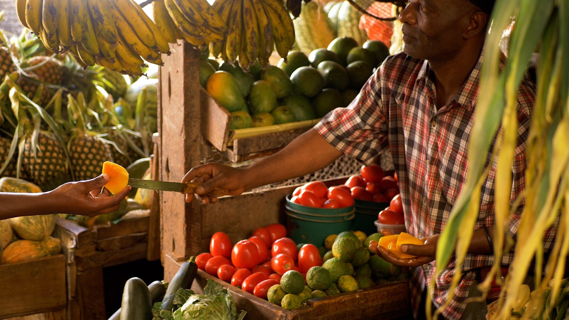 Sharing Fruits On Market Stall.jpg