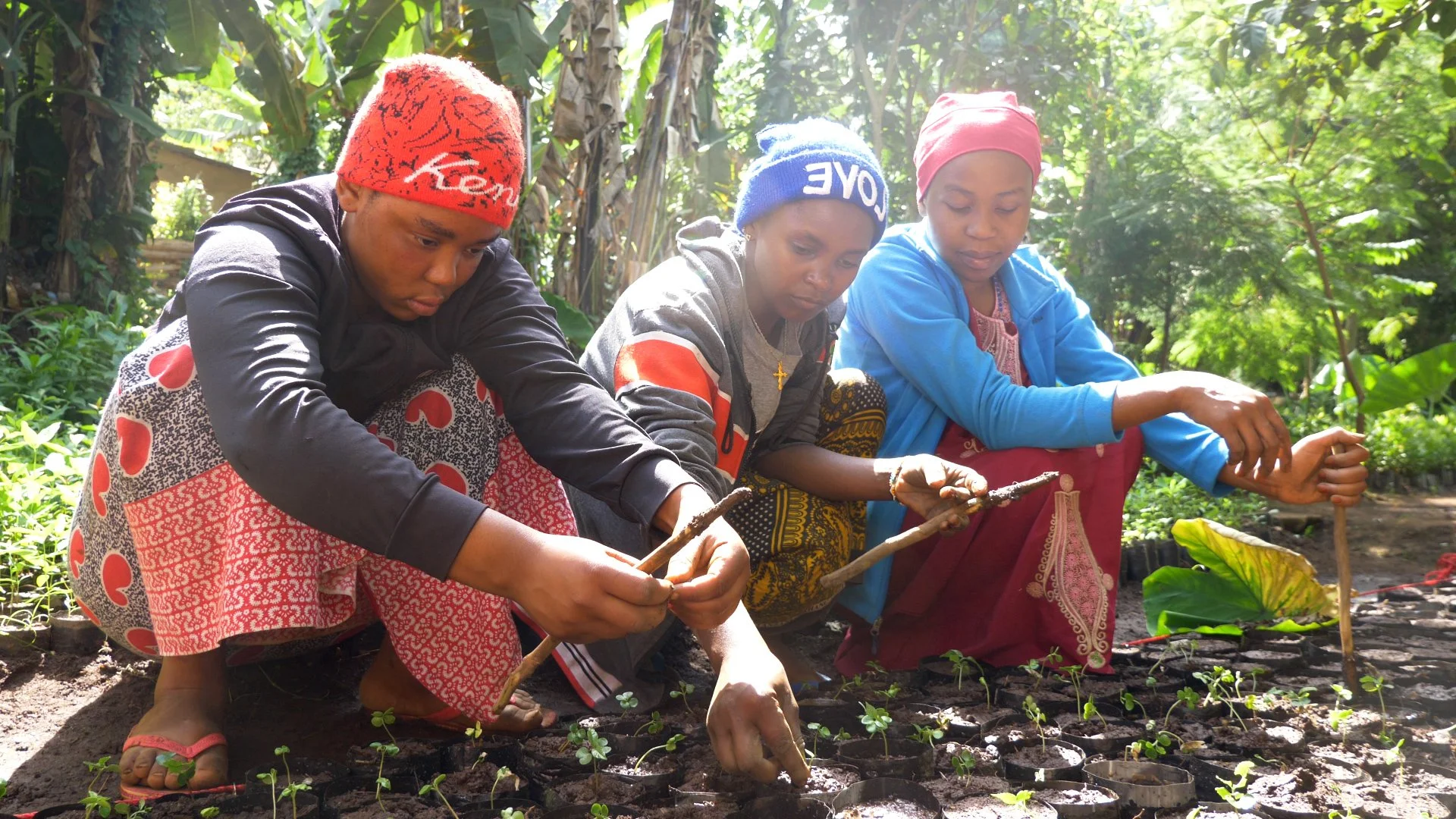 Nursery Worker 11.jpg