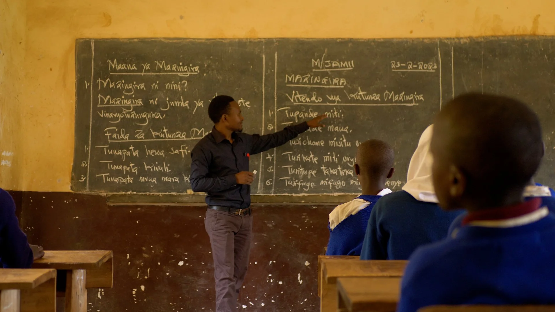 School Teacher 2.jpg