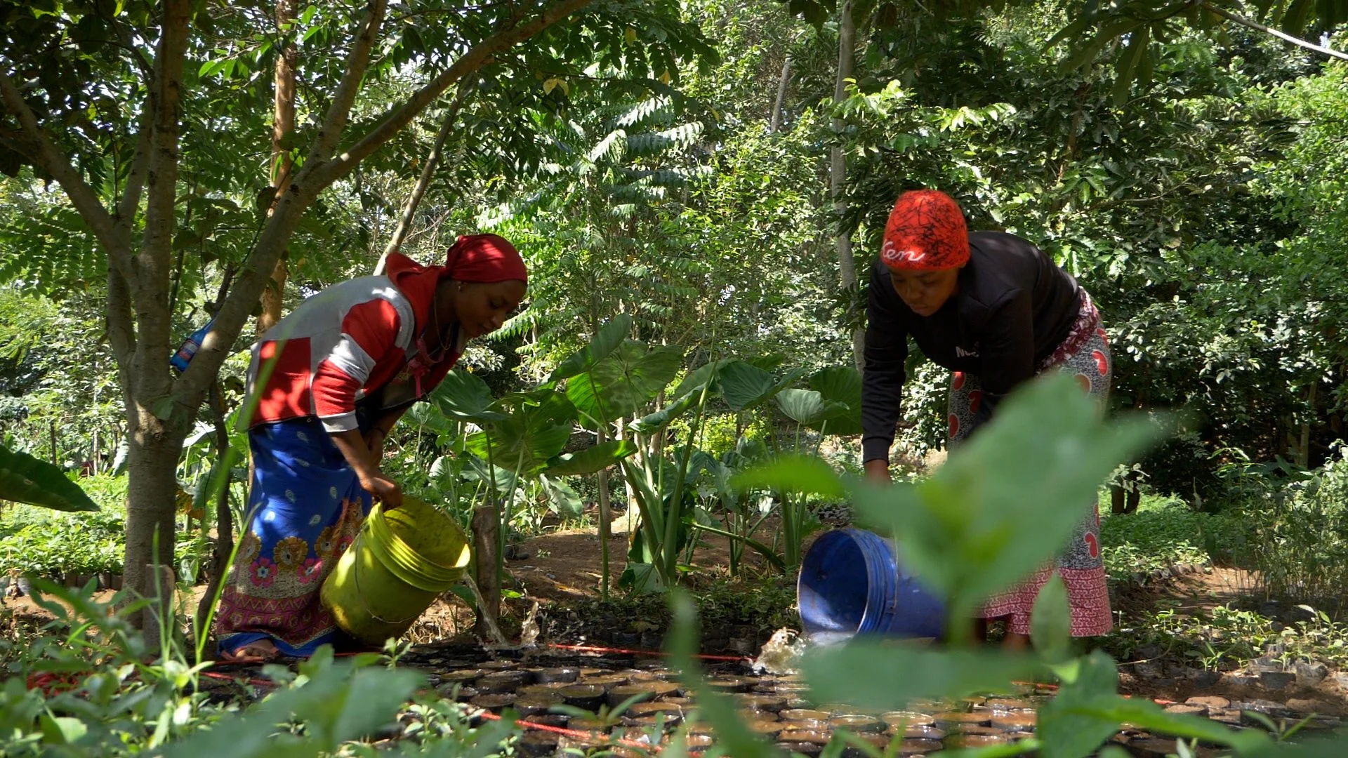 Nursery Worker 6.jpg