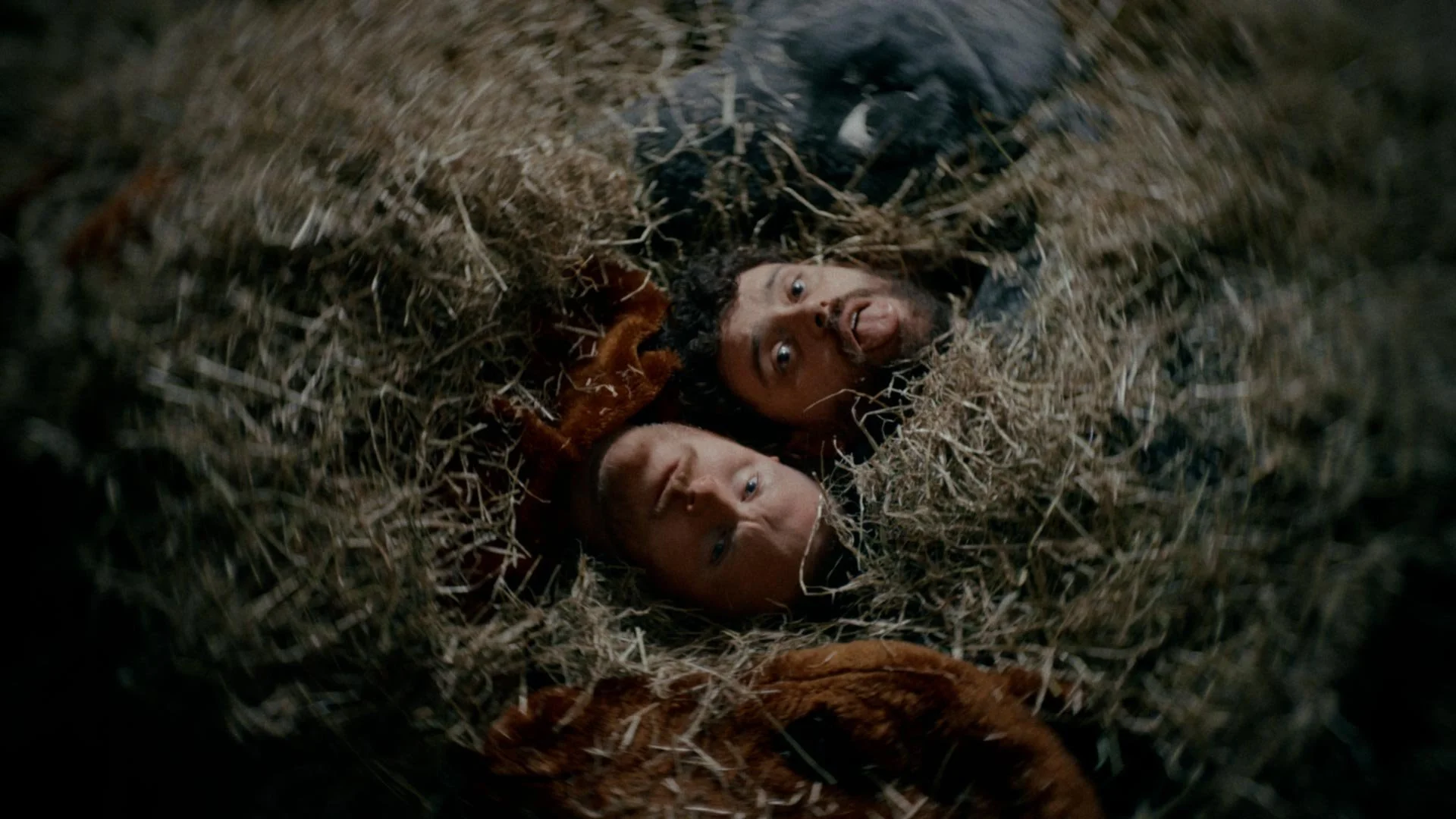 BIG SPECIAL | God Save The Pony