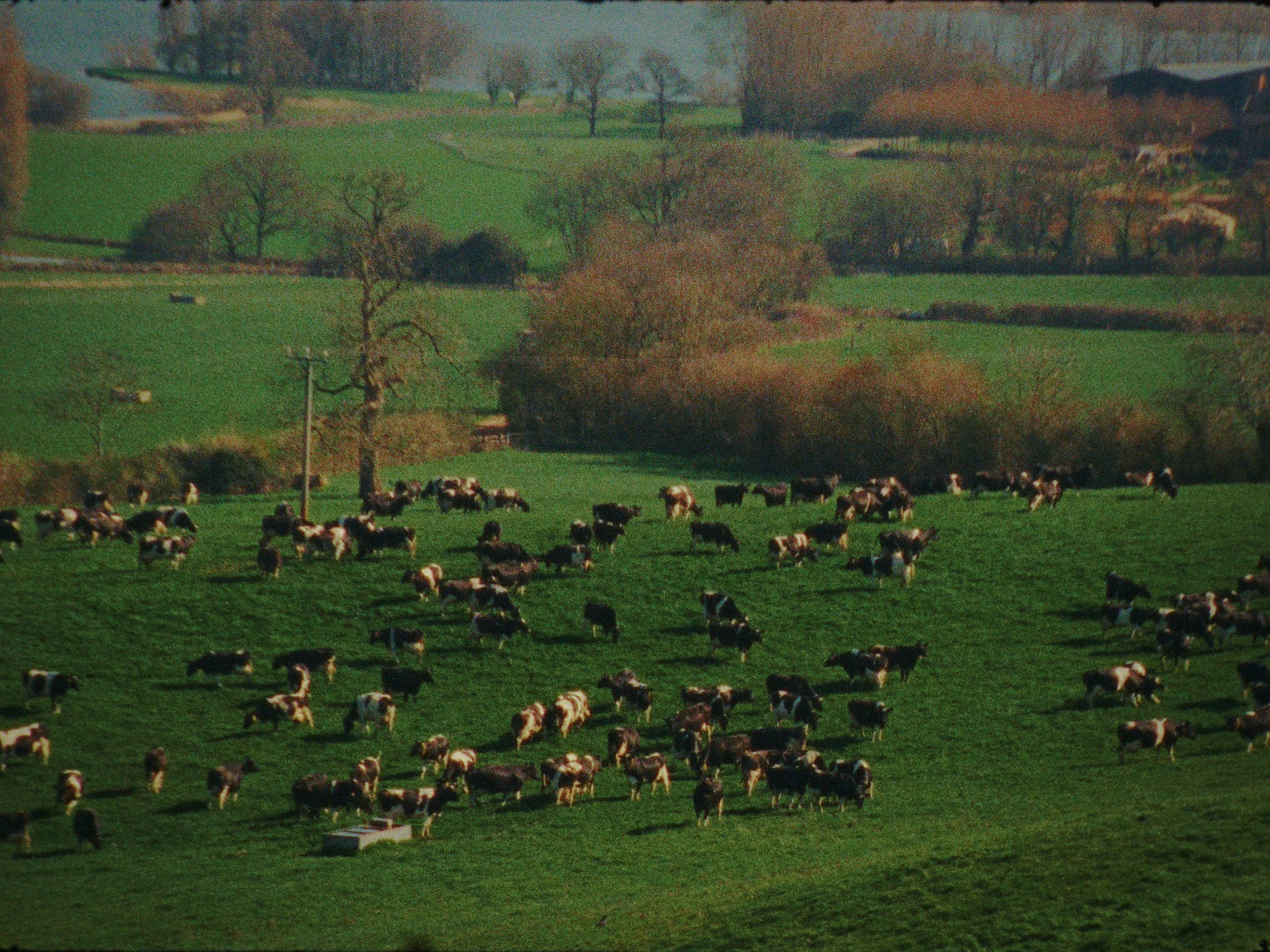 YeoValley-09.jpg