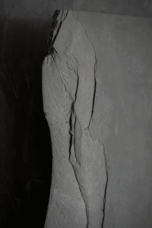 Opening | Marcelo Moscheta's Exhibition at the Natural History Museum