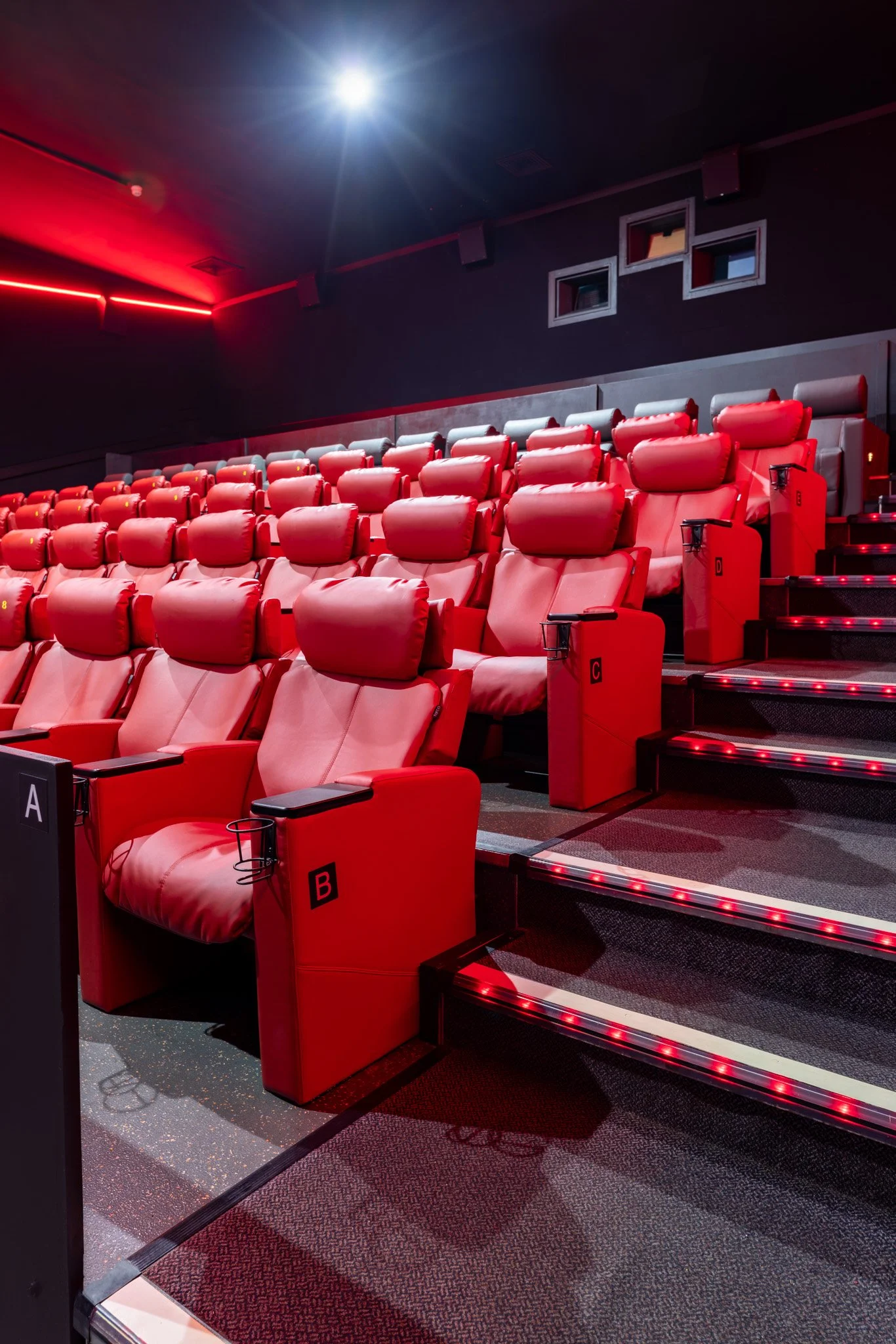 Arc_Cinema_Mallow_WebRes-25.jpg