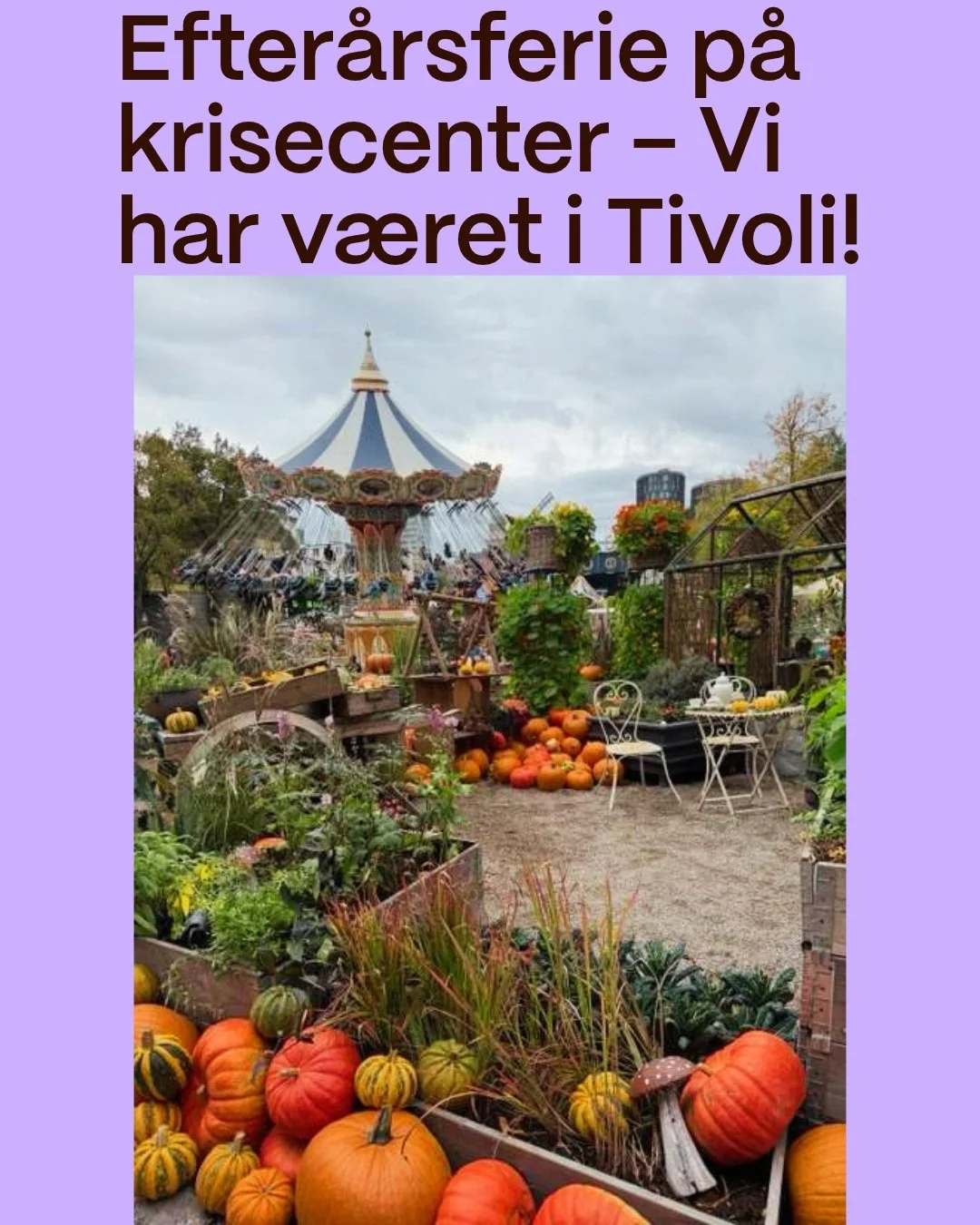Hyggelig efter&aring;rsferie p&aring; krisecentrene ☀️💛

Vi har v&aelig;ret i Tivoli, drukket varm kakao, spist pandekager og nydt Halloweenstemningen ✨💛

P&aring; krisecentrene betyder de sm&aring; pauser fra hverdagen noget helt s&aelig;rligt. De