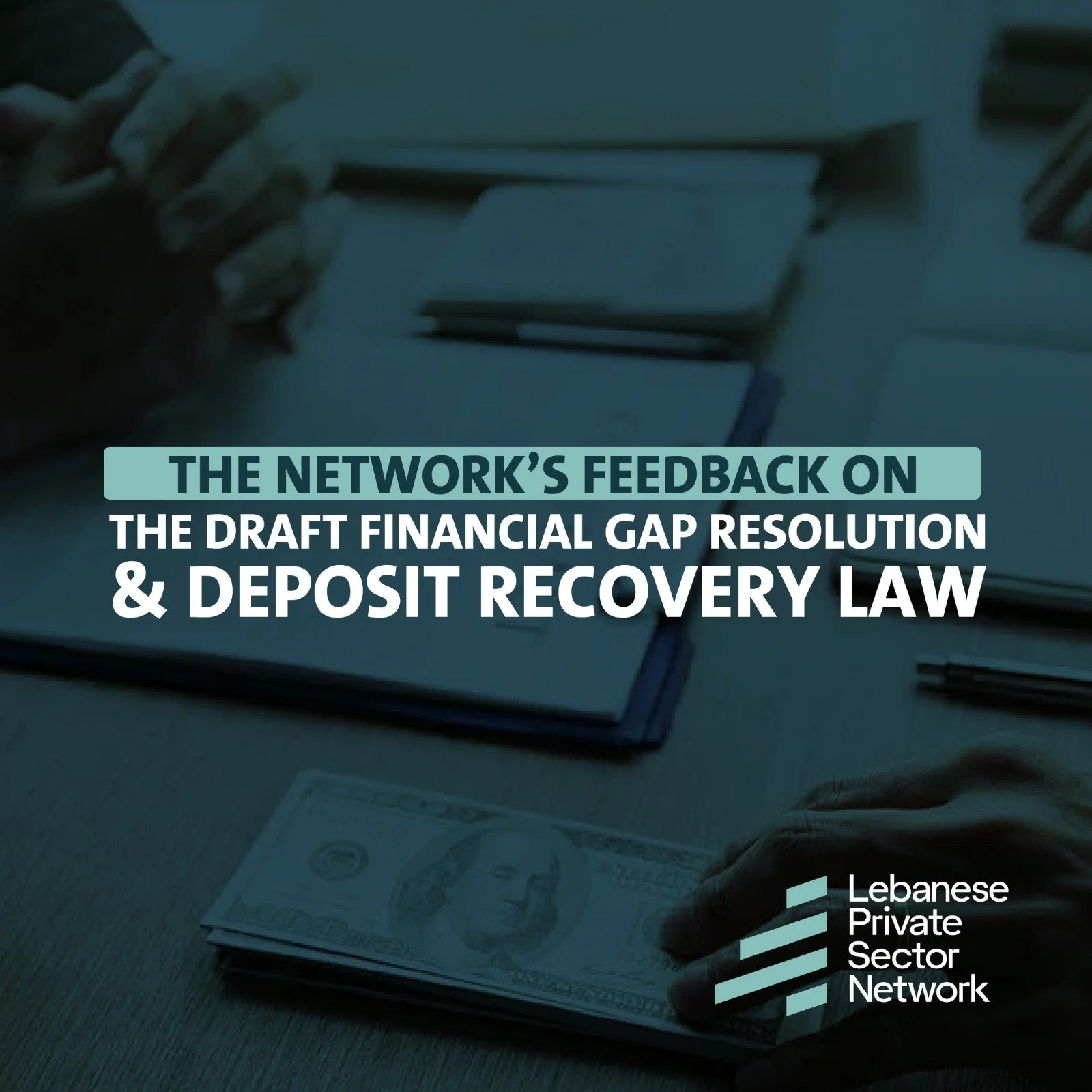 Lebanese Private Sector Network Feedback on the Draft Financial Gap Resolution &amp; Deposit Recovery Law