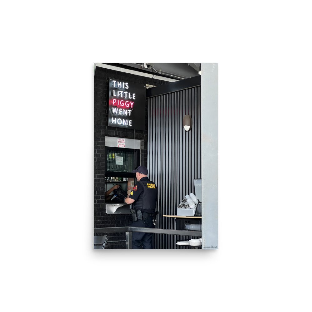 enhanced-matte-paper-poster-(in)-12x18-front-65e0d293d1a47.jpg