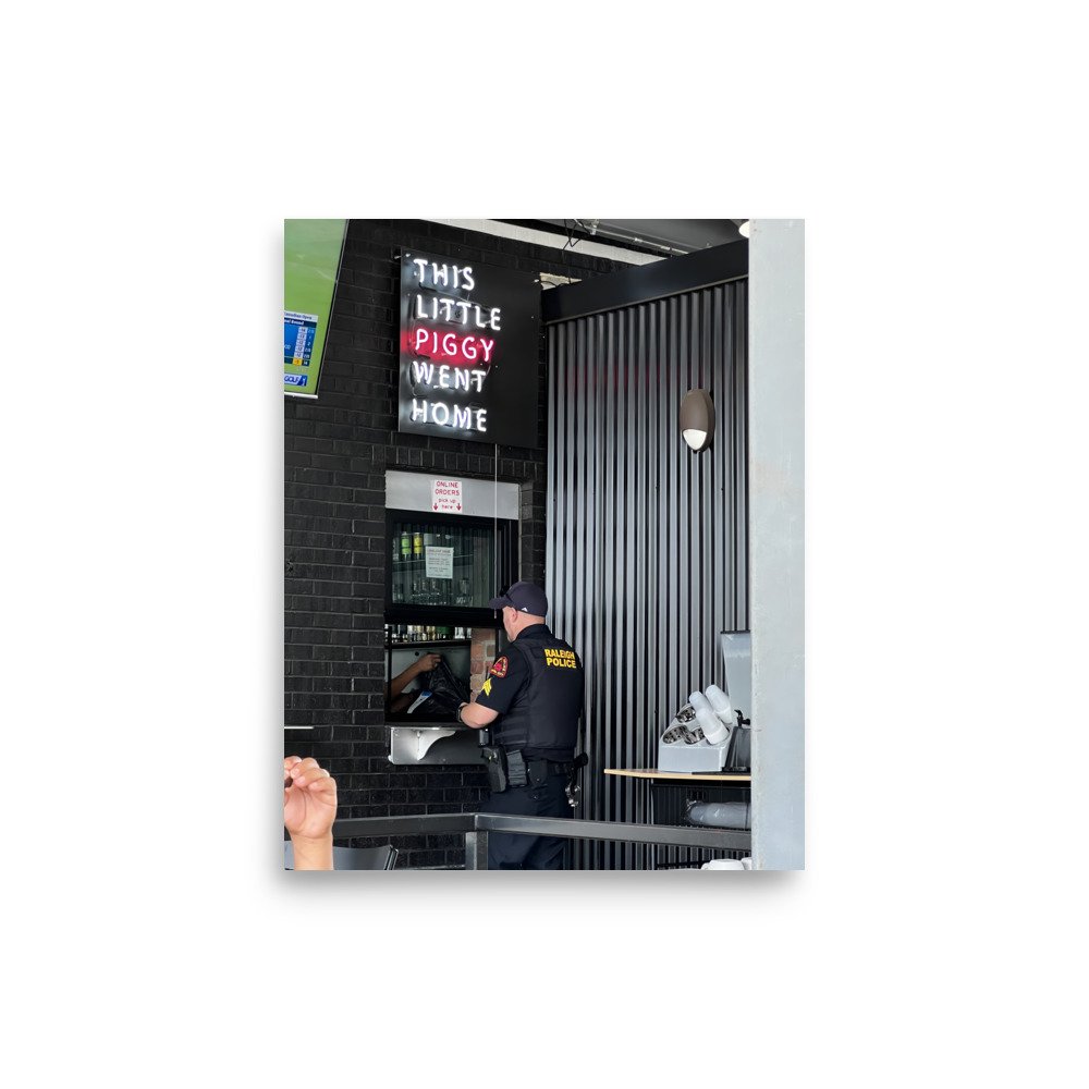 enhanced-matte-paper-poster-(in)-8x10-front-65e0d293d1e29.jpg