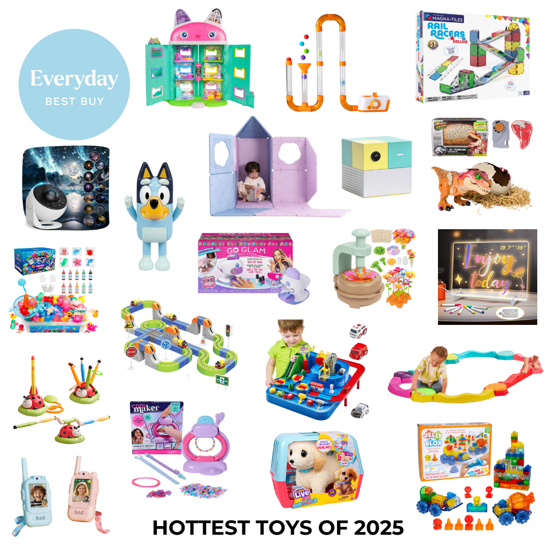 Hottest Toys of 2025