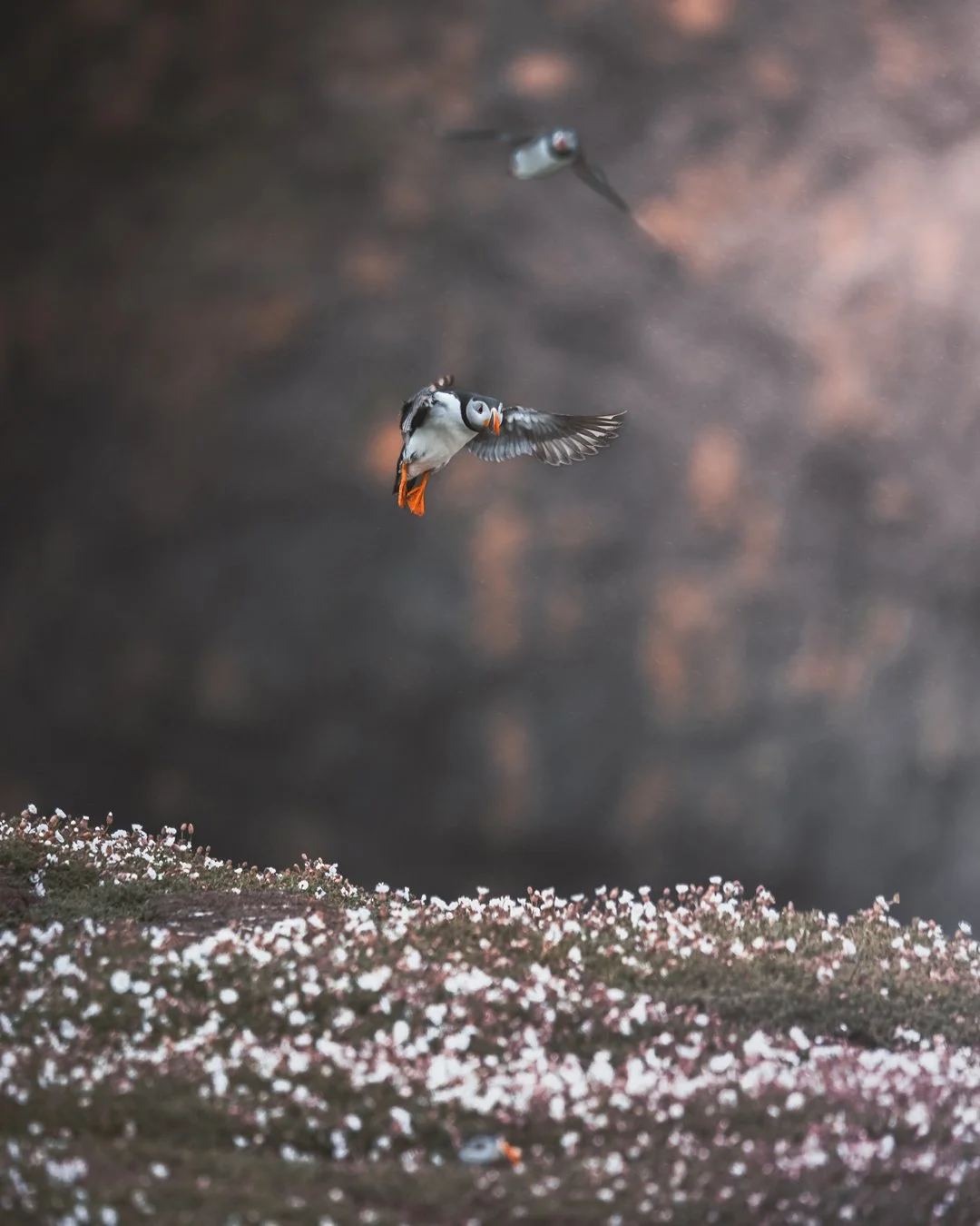 _DSC1368-Edit-Edit.jpg