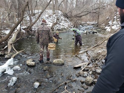 SEARCHING FOR STONEFLIES</a>