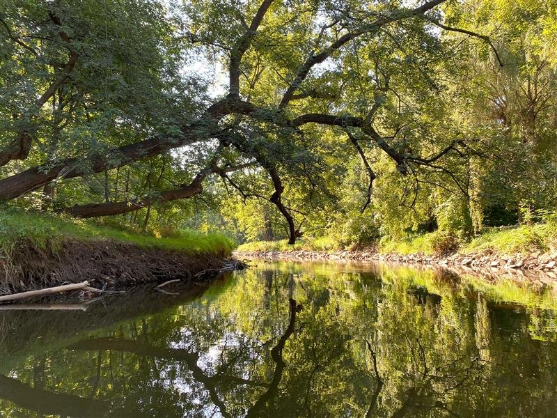 CRWC'S OVERVIEW OF 2022</a>