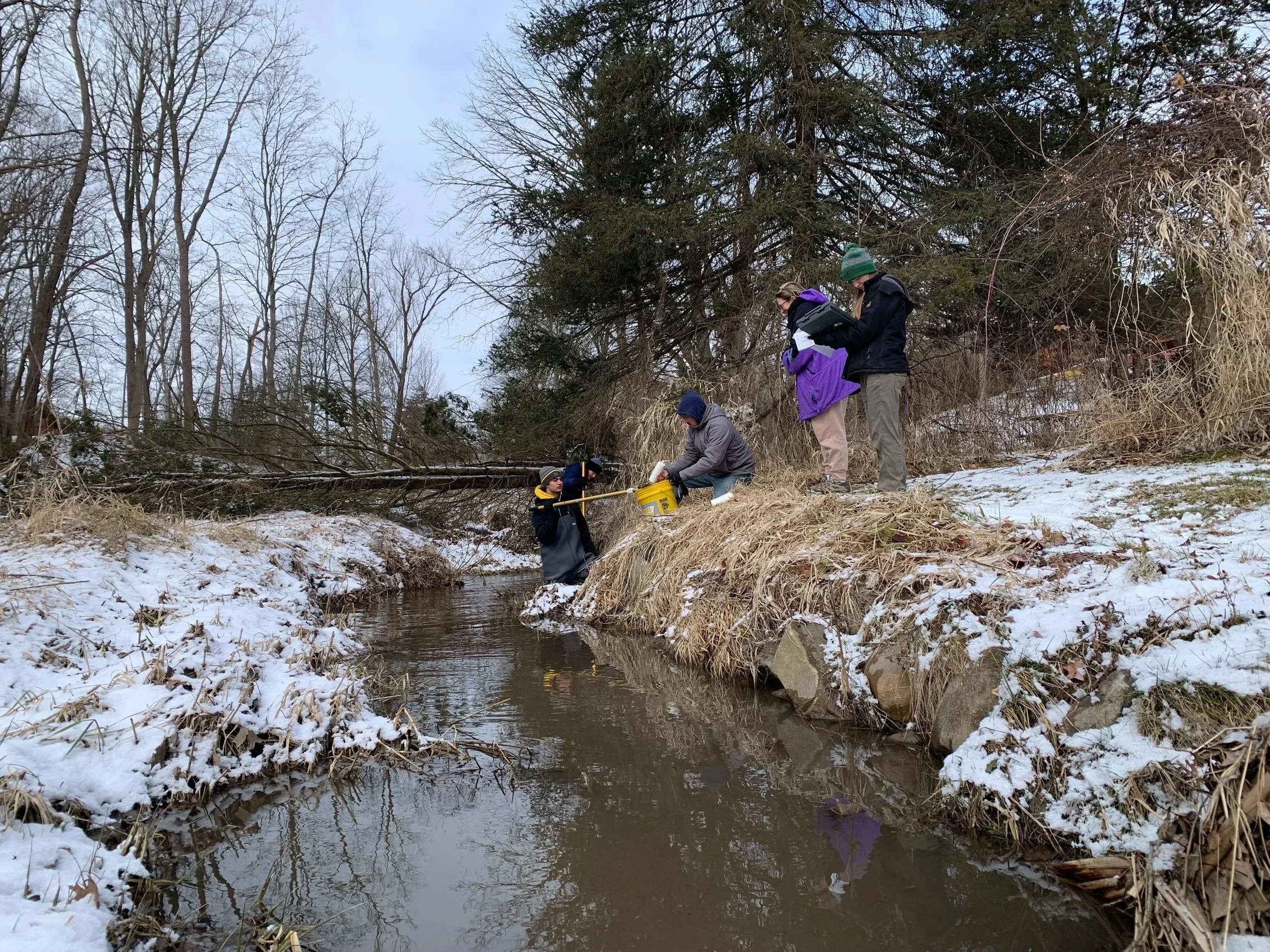 Adopt-A-Stream Training