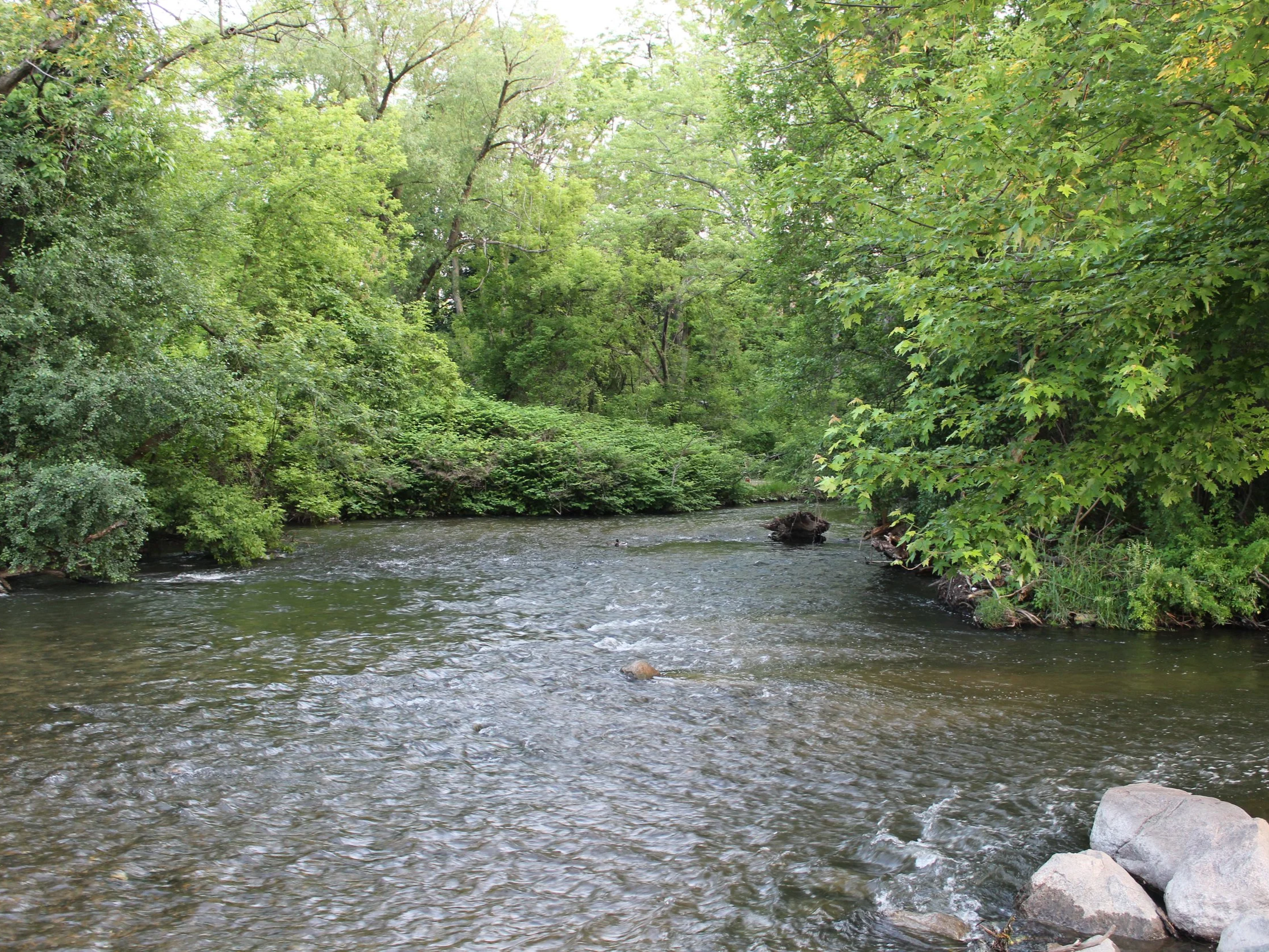 Get to Know your Watershed presentation