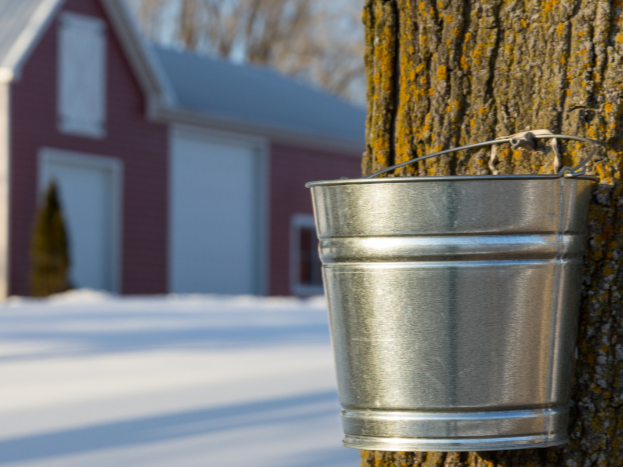 Nourished by Nature: Maple Sugaring