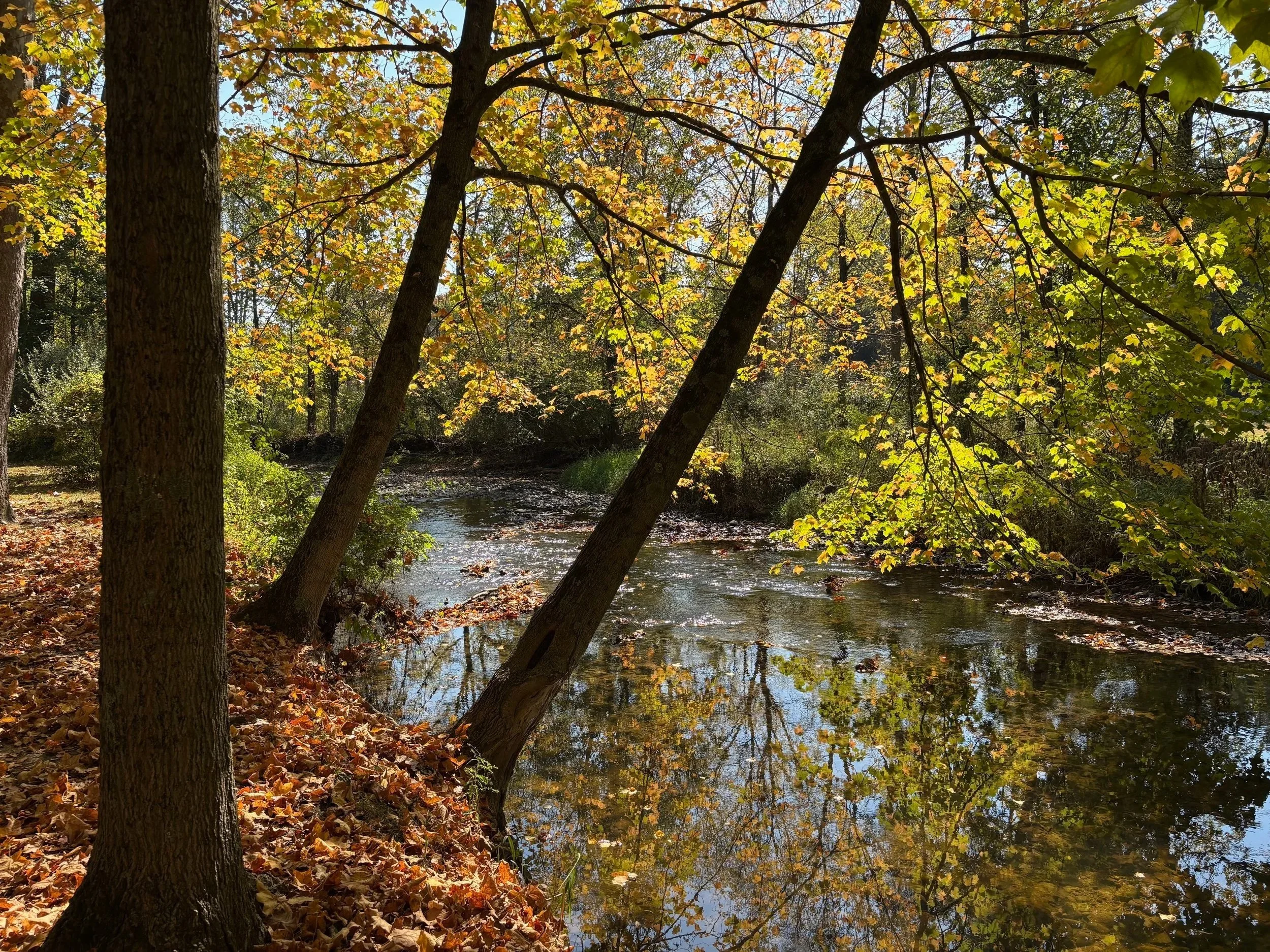 Get to Know Your Watershed Presentation