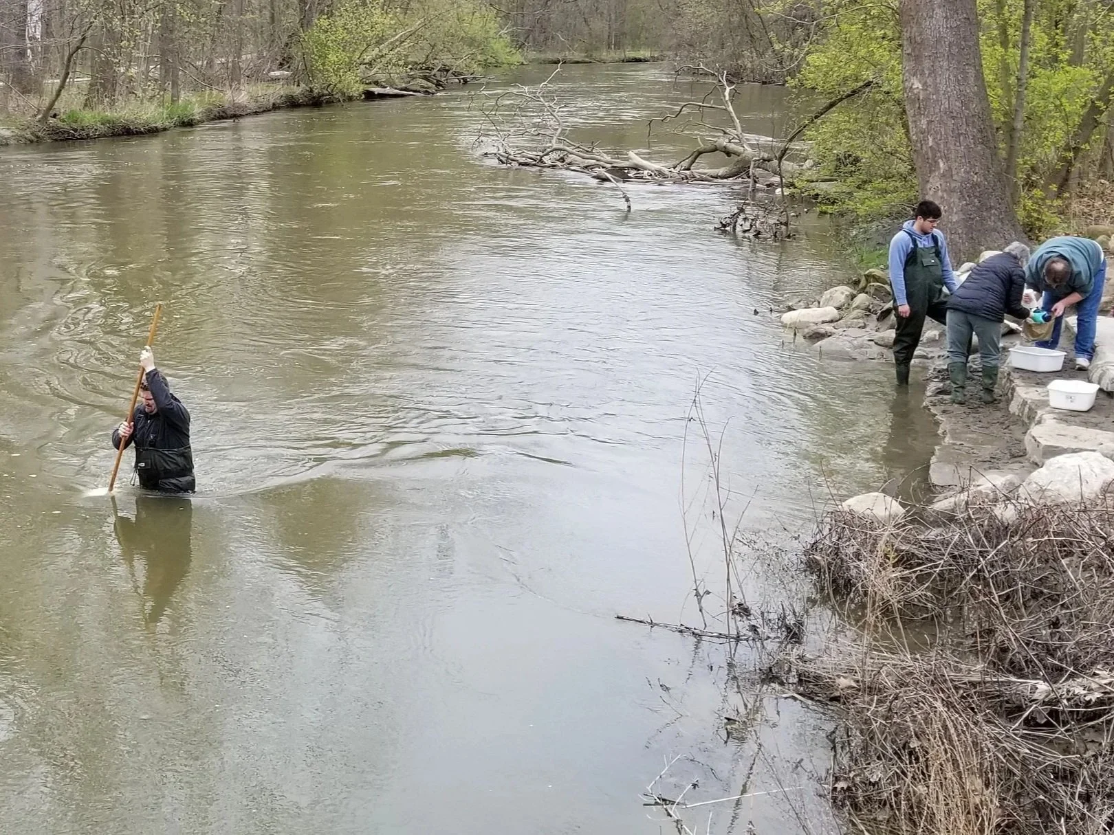 Clinton Cleanup: Dodge Park