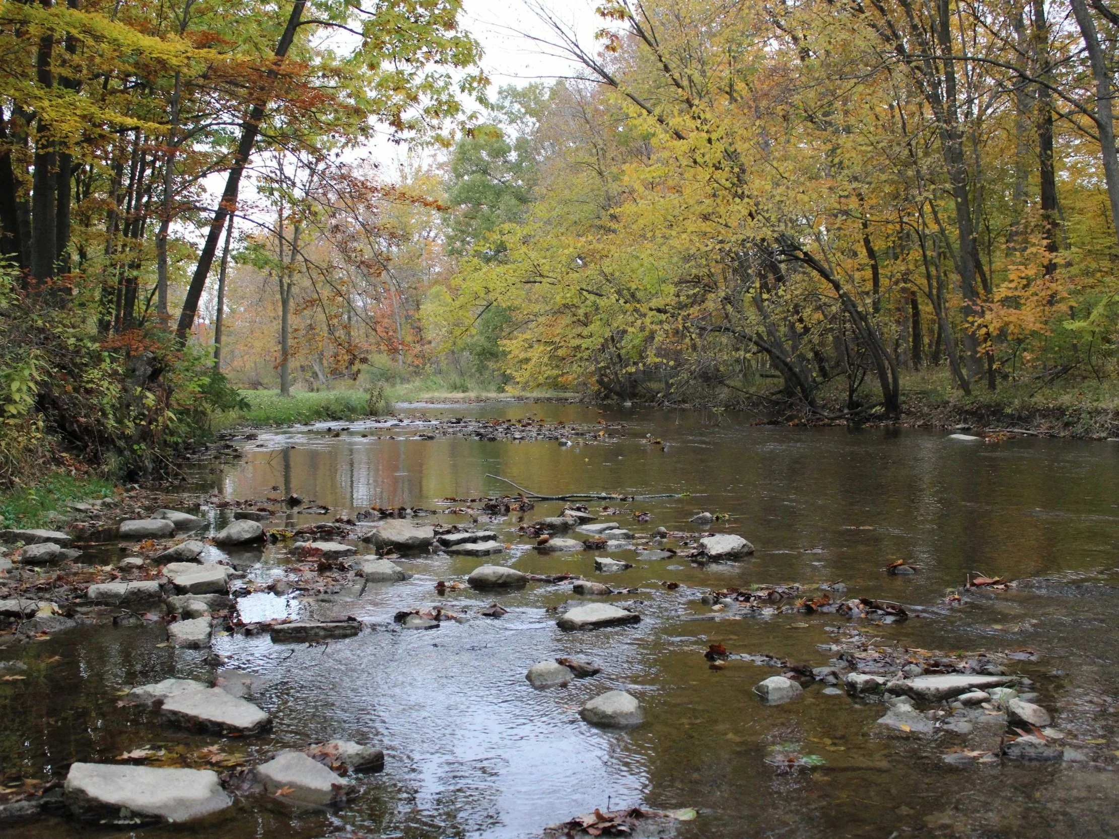 Clinton Cleanup: Wolcott Mill Metropark