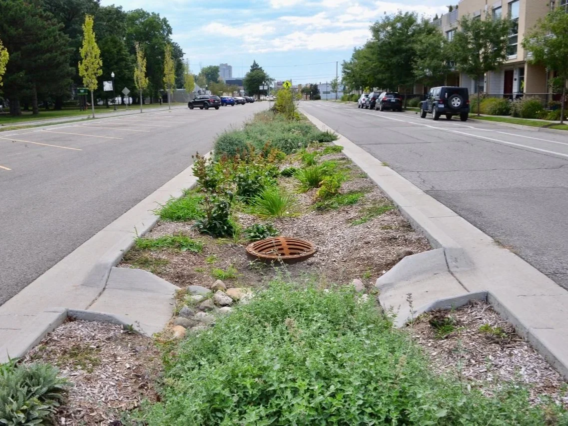 Clinton Cleanup: Royal Oak