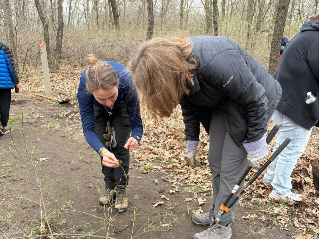 Clinton Cleanup: Burgess-Shadbush Nature Center