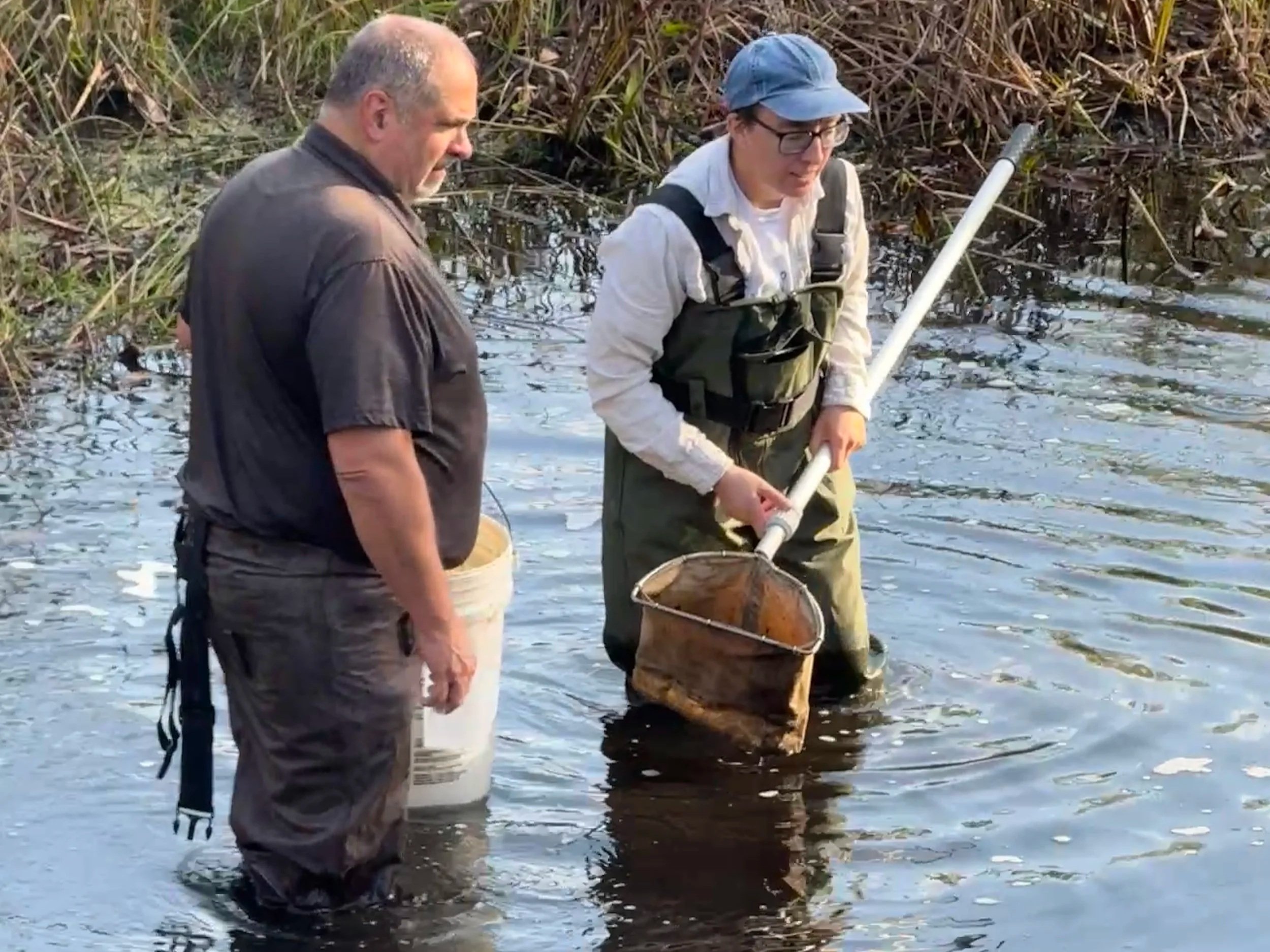 Adopt-A-Stream General Training