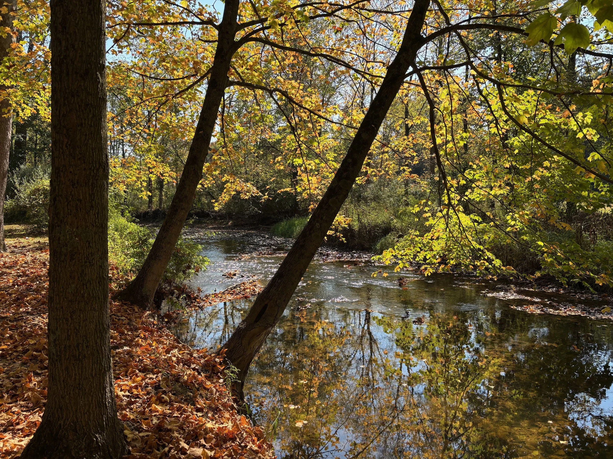 Guest Blog: Why Local Businesses Should Invest in Watershed Health