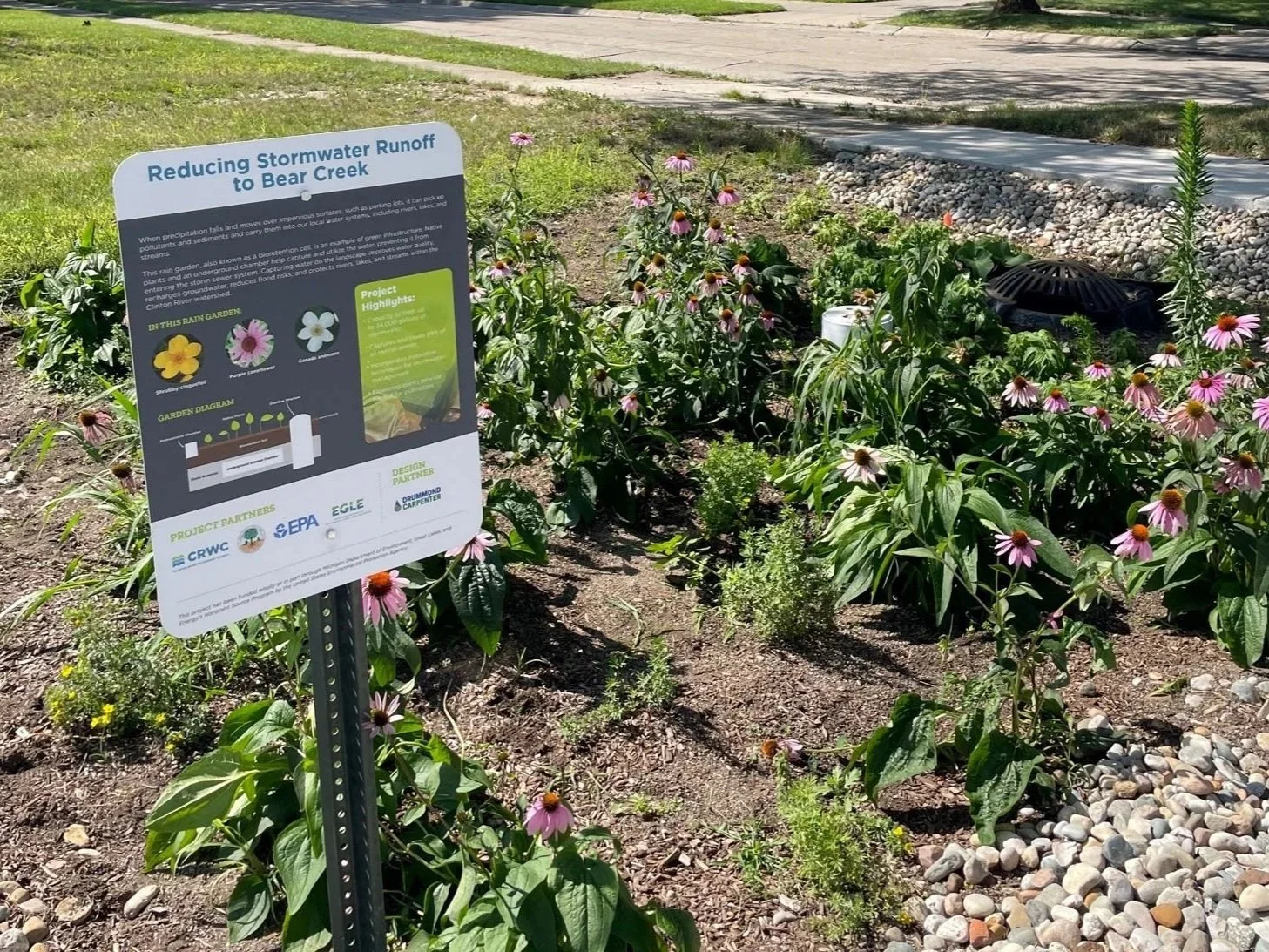 Native Garden Maintenance with EGLE and CRWC