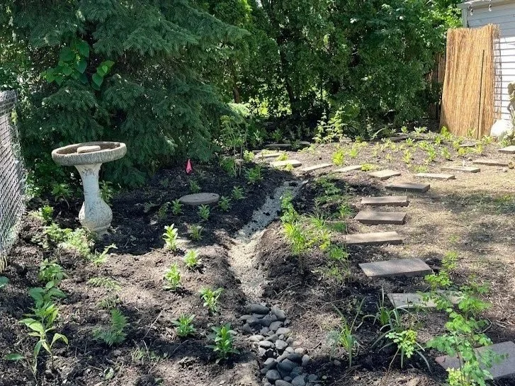 Native Garden Maintenance