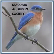 macomb audubon.jpeg