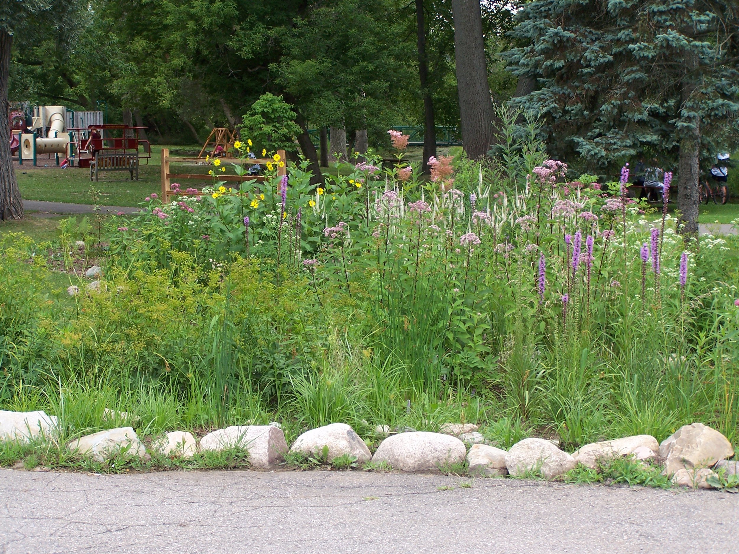 All About Rain Gardens Presentation
