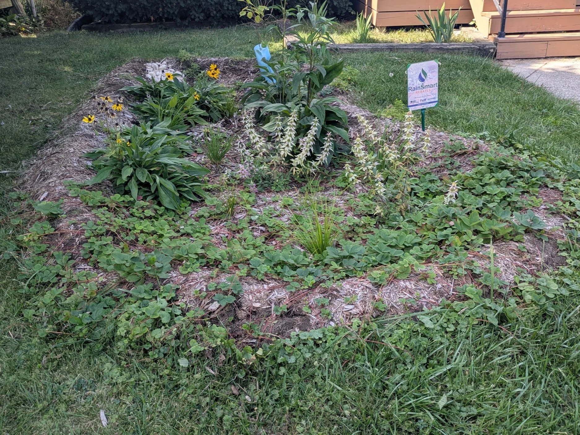 Rain Garden Design Workshop