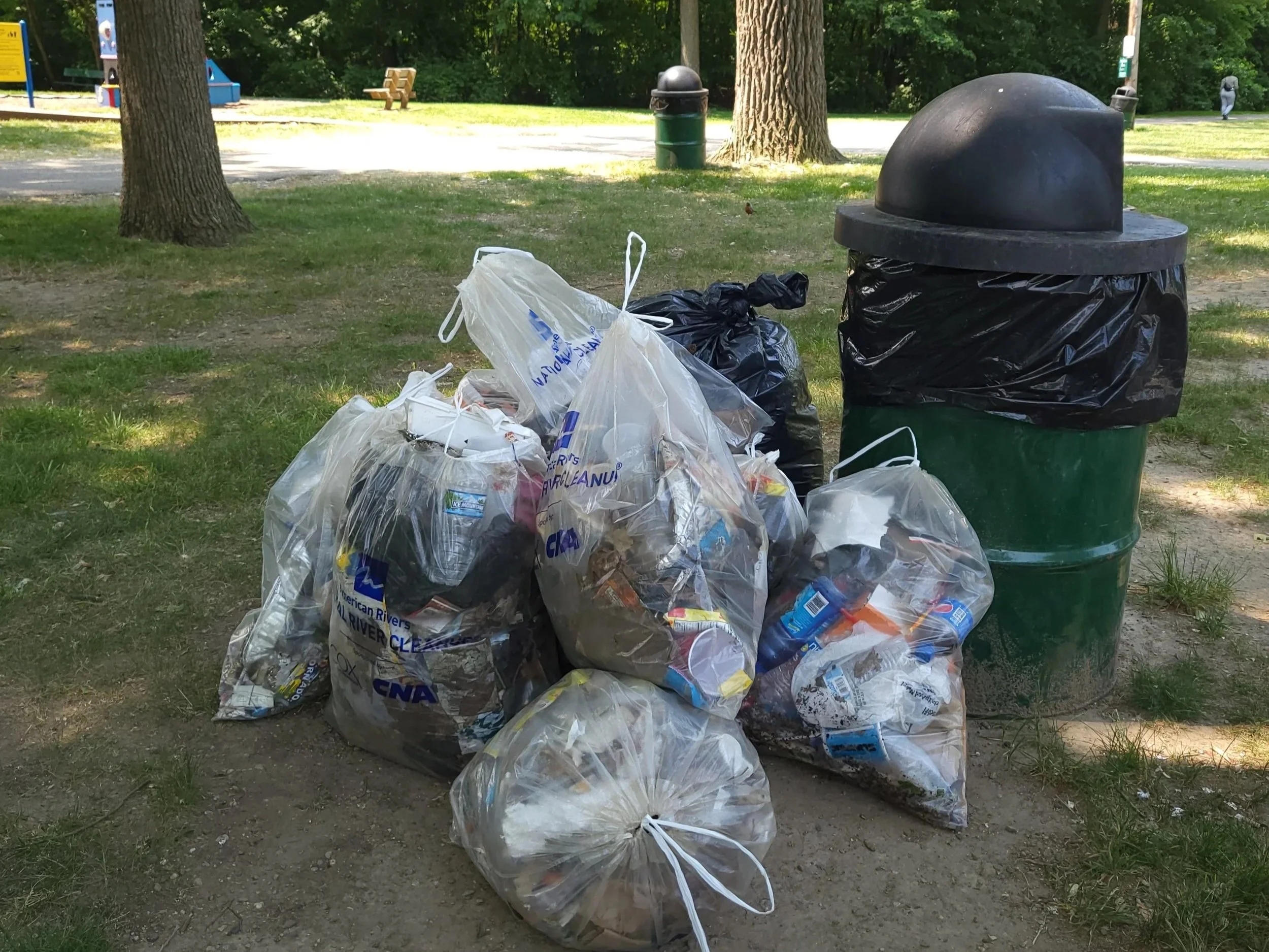 Weekly Clean: Spindler Park