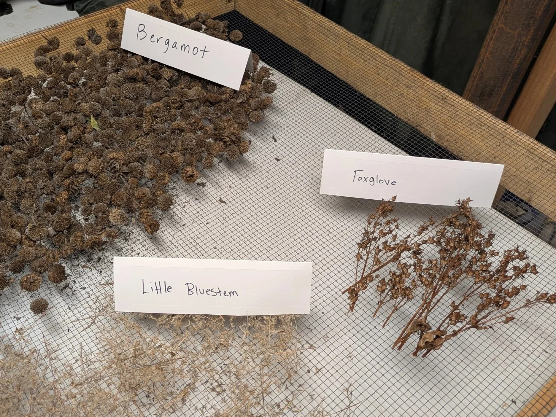 Native Seed Collection Presentation