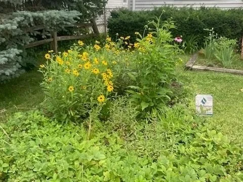 Planting a Successful Rain Garden - Part 2: Garden Size and Water Flow
