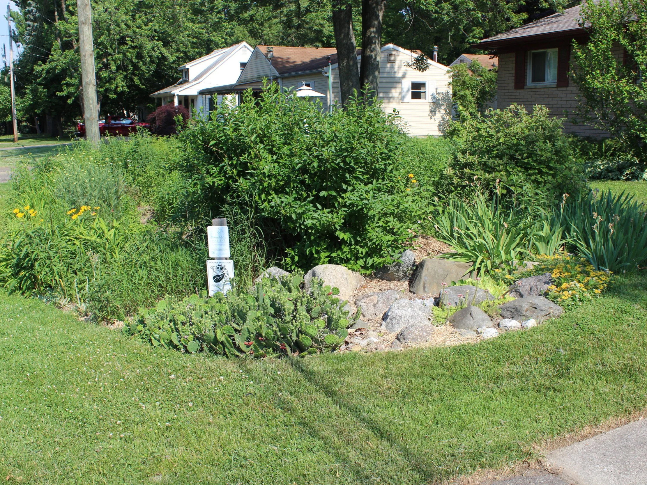 Residential Rain Garden