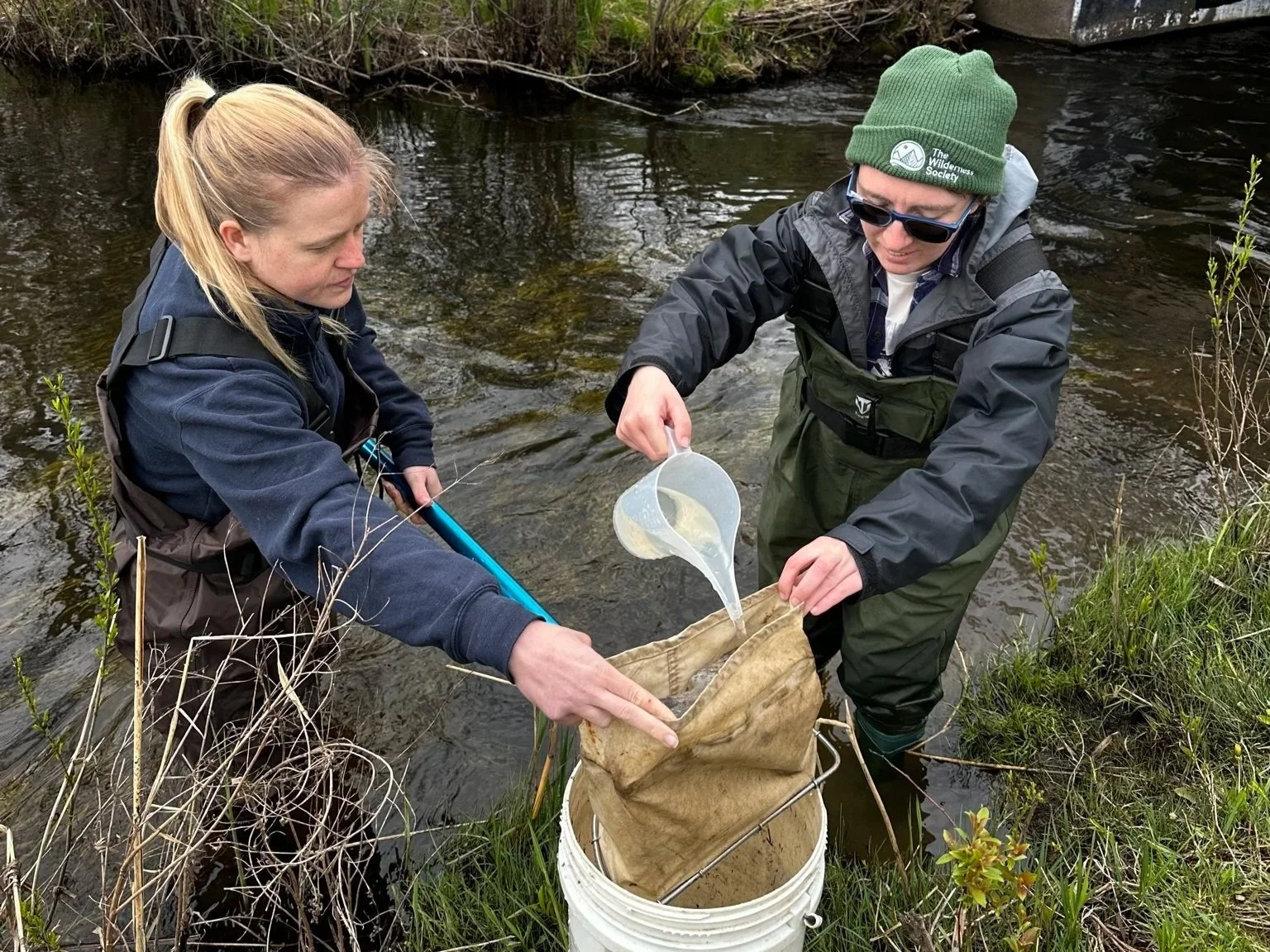 Adopt-A-Stream Bug ID Training