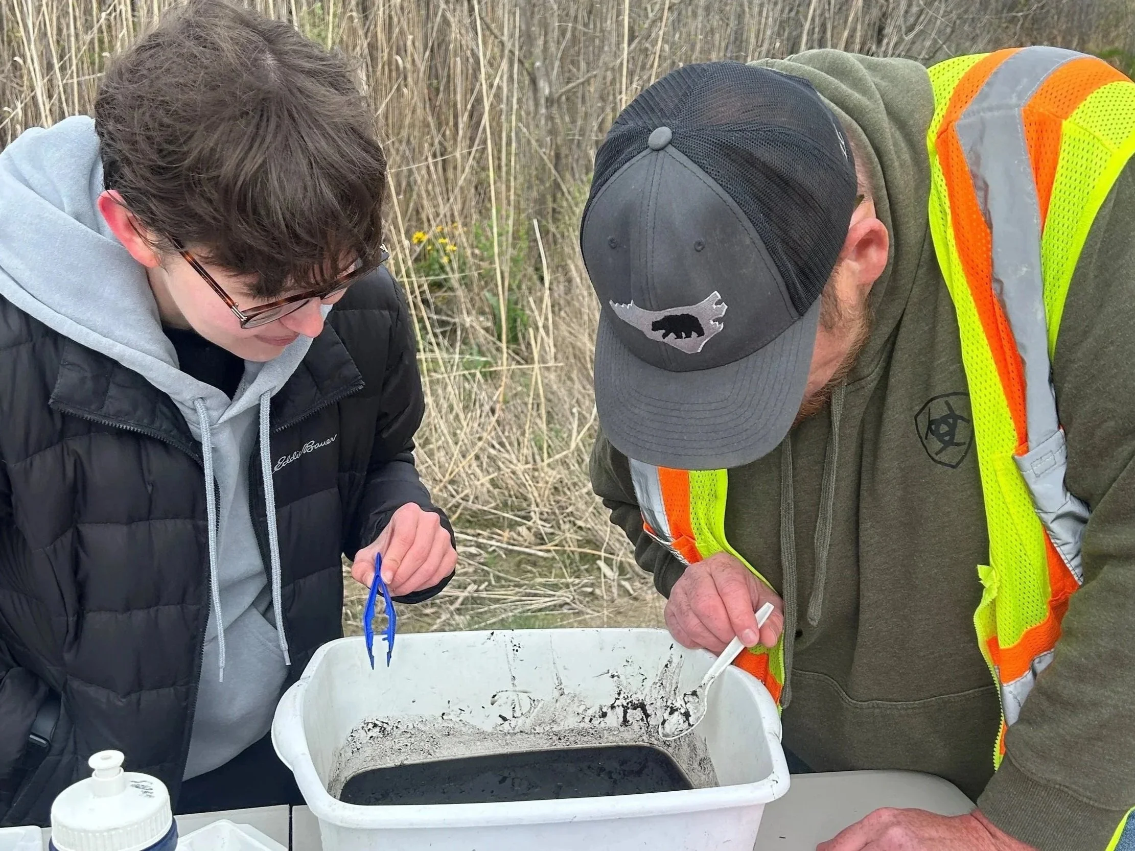 Volunteer Bug ID Event