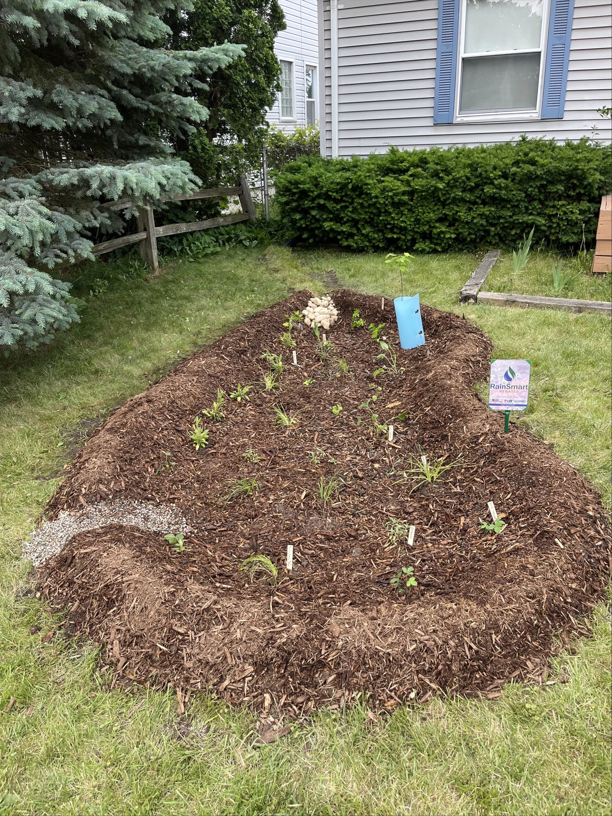 Rain Garden