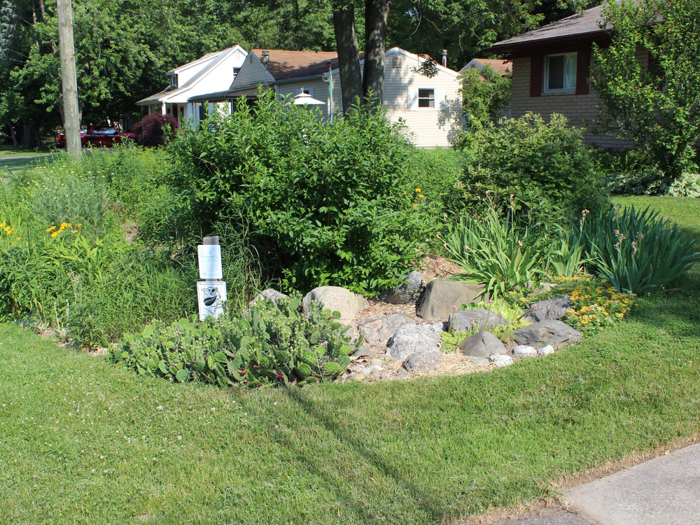 Rain to Roots — Clinton River Watershed Council