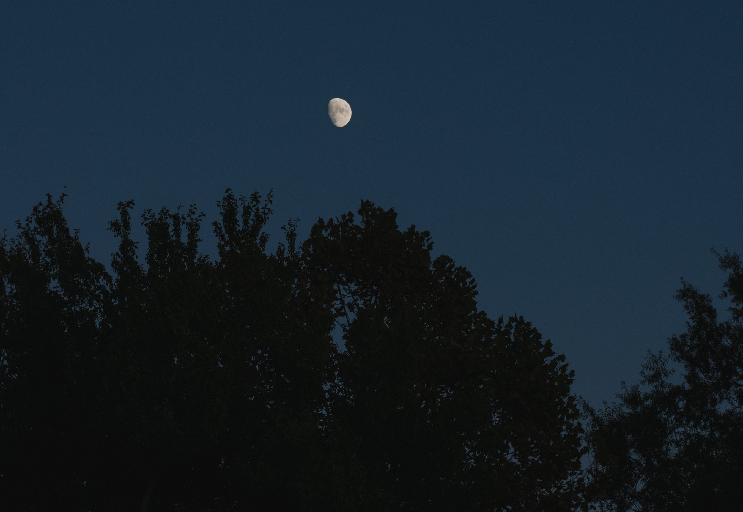 Nature at Night: Sights, Sounds, and Stars