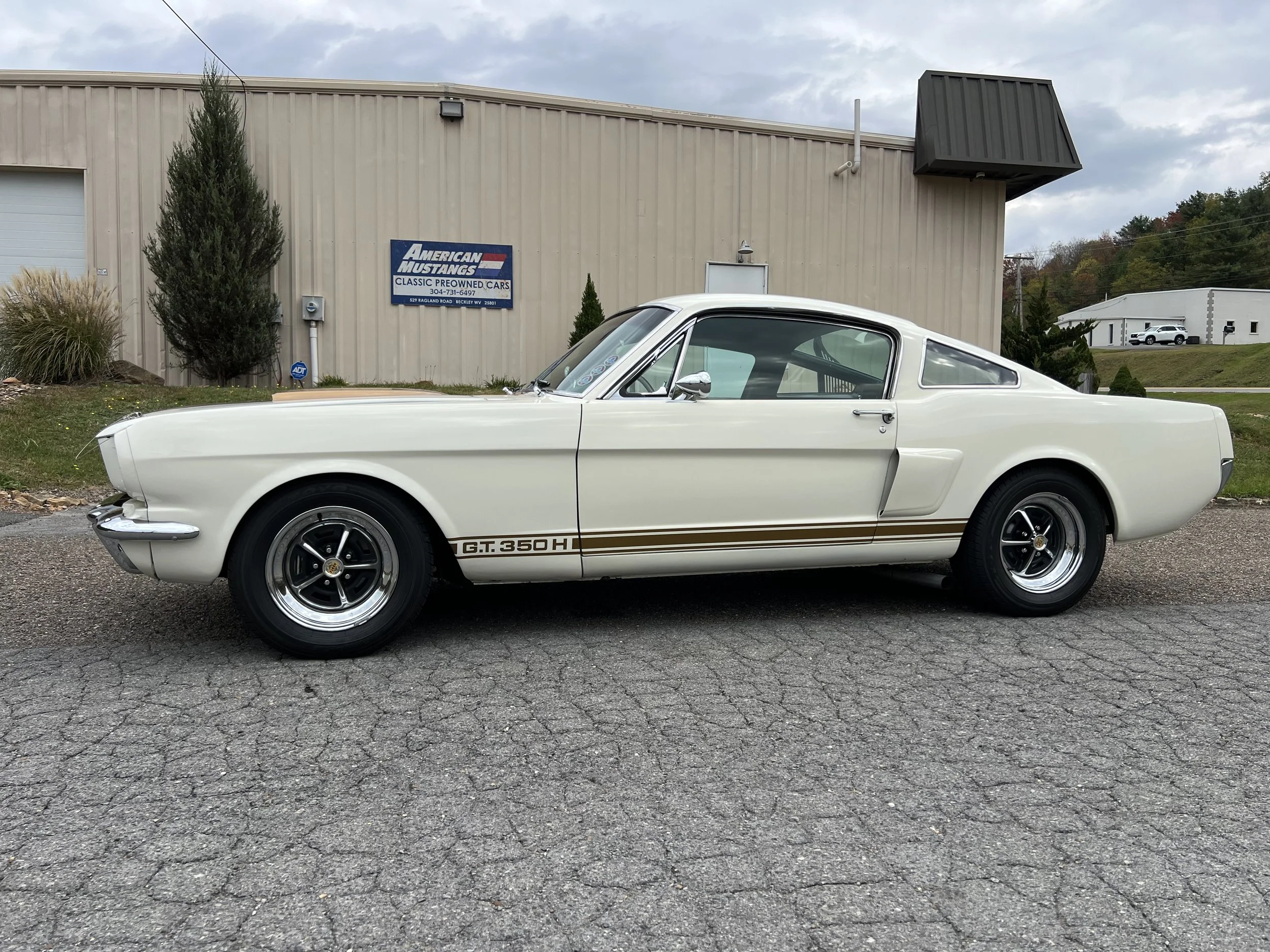 1966 Shelby GT350 H