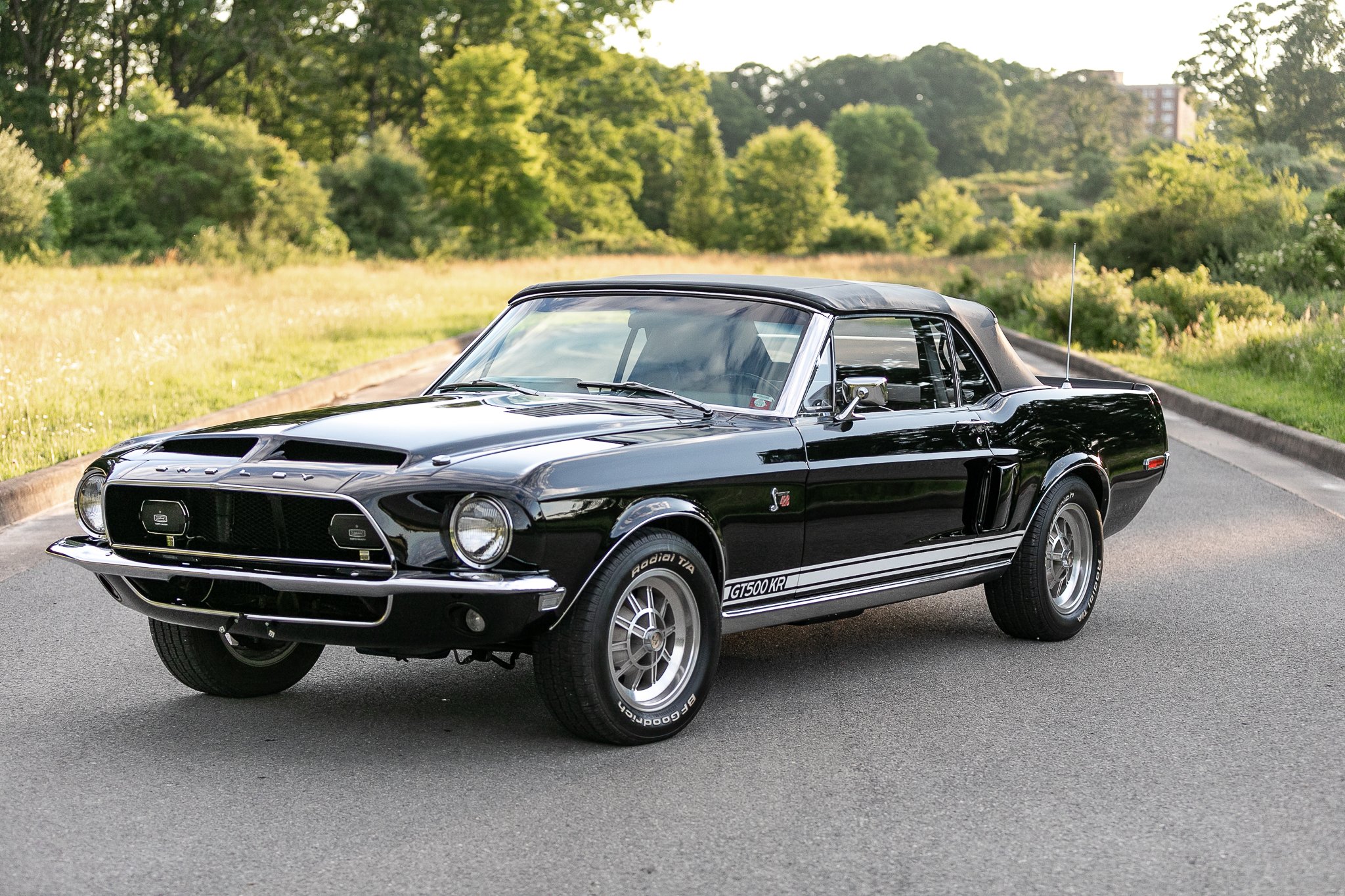1968 shelby gt 500 kr-116.jpeg