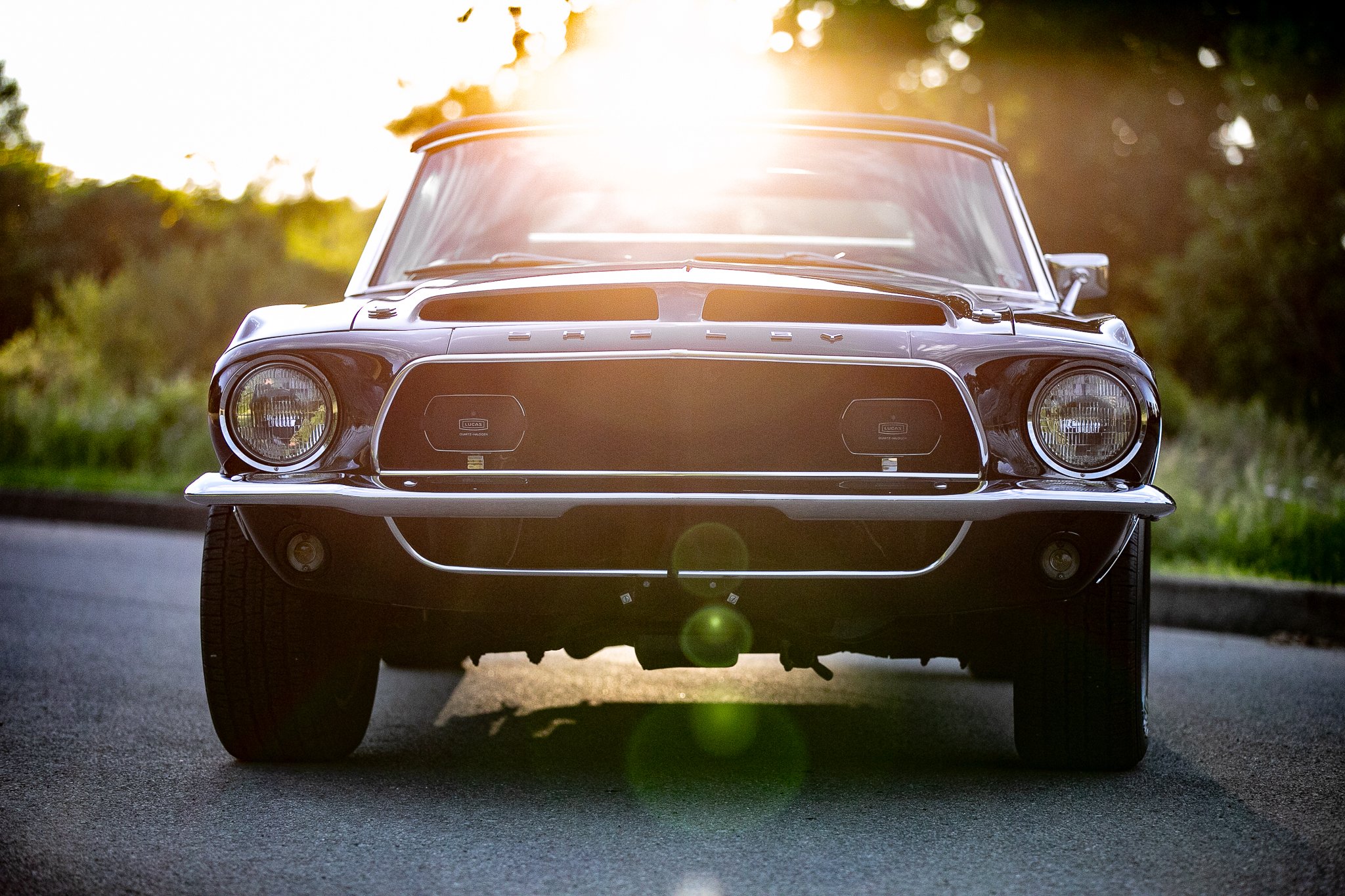 1968 shelby gt 500 kr-118.jpeg