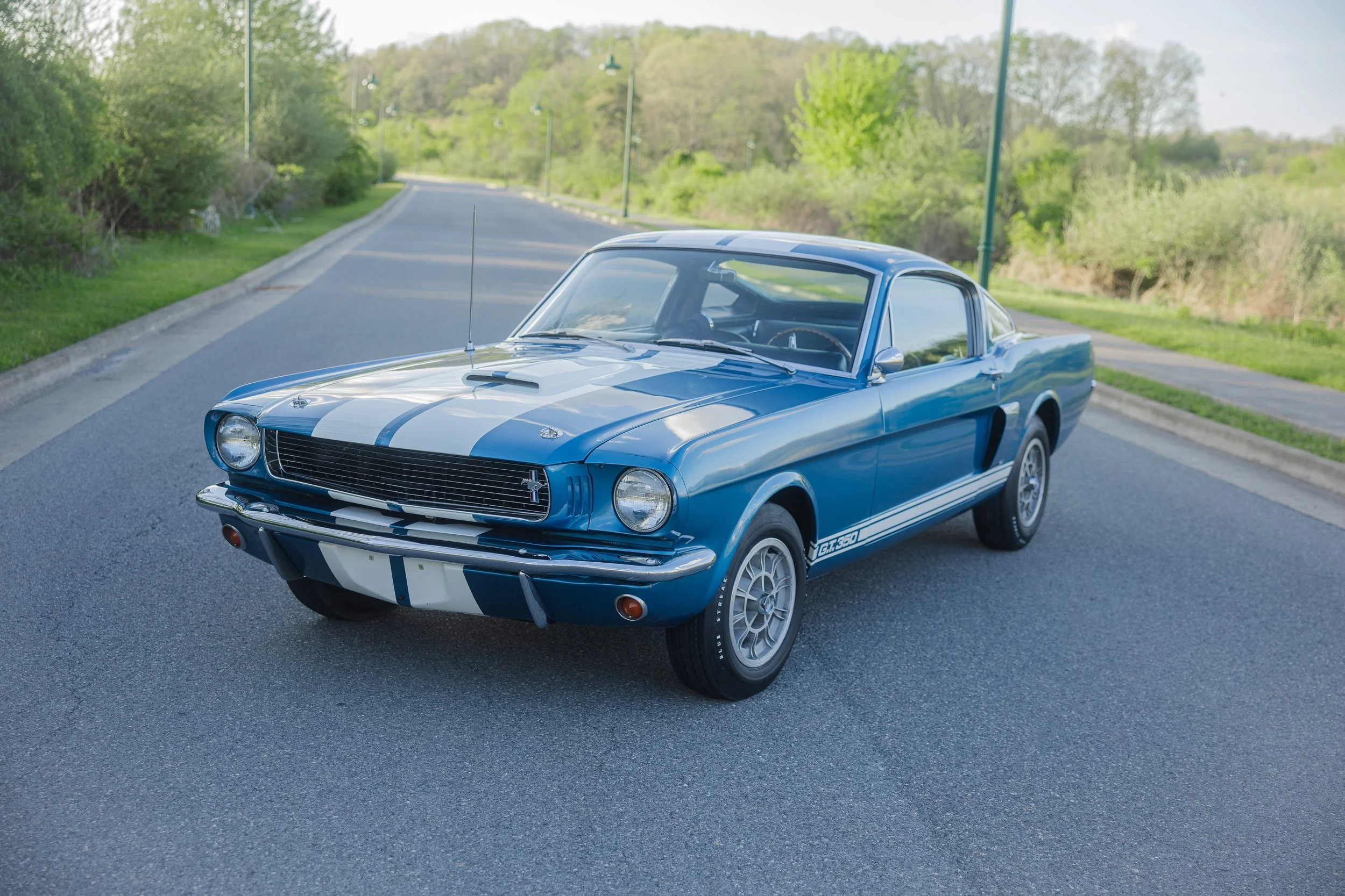 1966 Shelby 1730-64.jpeg