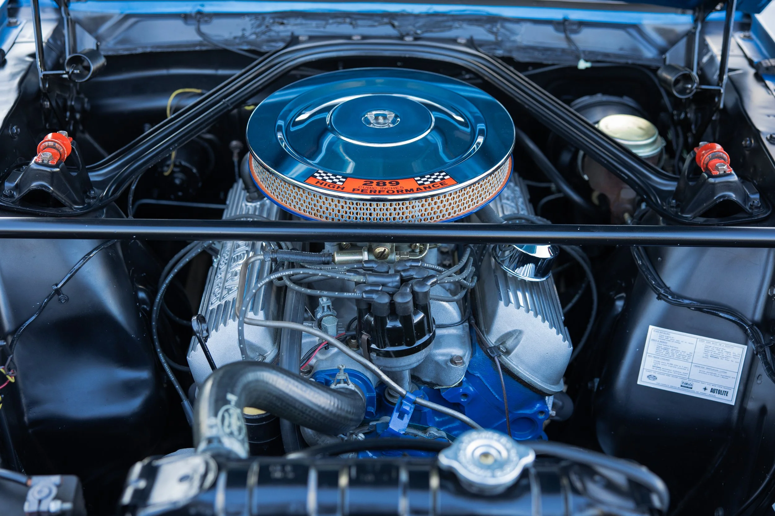 1966 Shelby 1730-95.jpeg