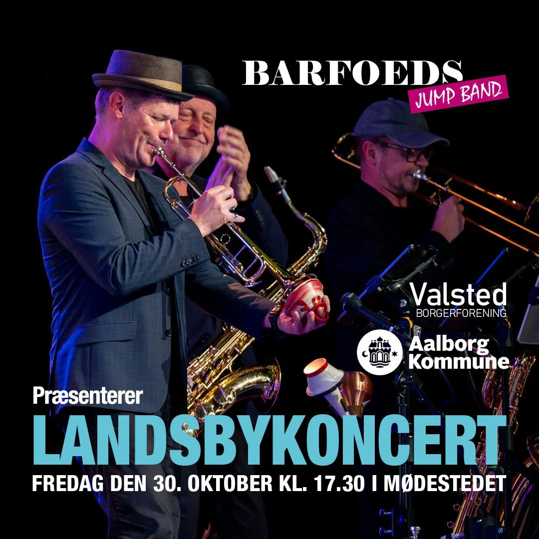 Landsbykoncert