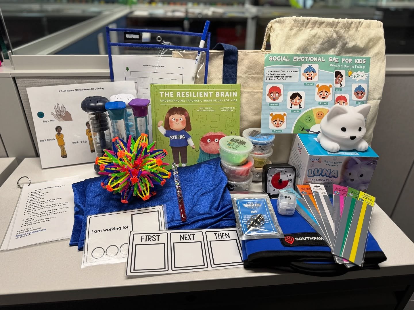 How amazing are these TBI support kits @wesdhr created?!? When Jessica, their behavior and TBI specialist,  reached out on getting The Resilient Brain included in their kits, I was in awe of their incredible idea for those who are impacted by TBI in
