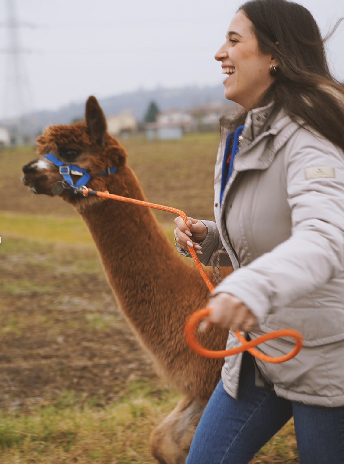 Screen Shot 2026-01-20 at 20.47.24.png